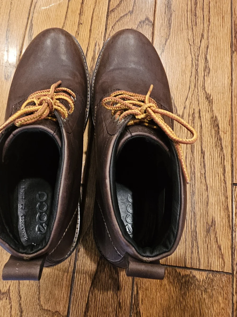 Ecco these chukka
